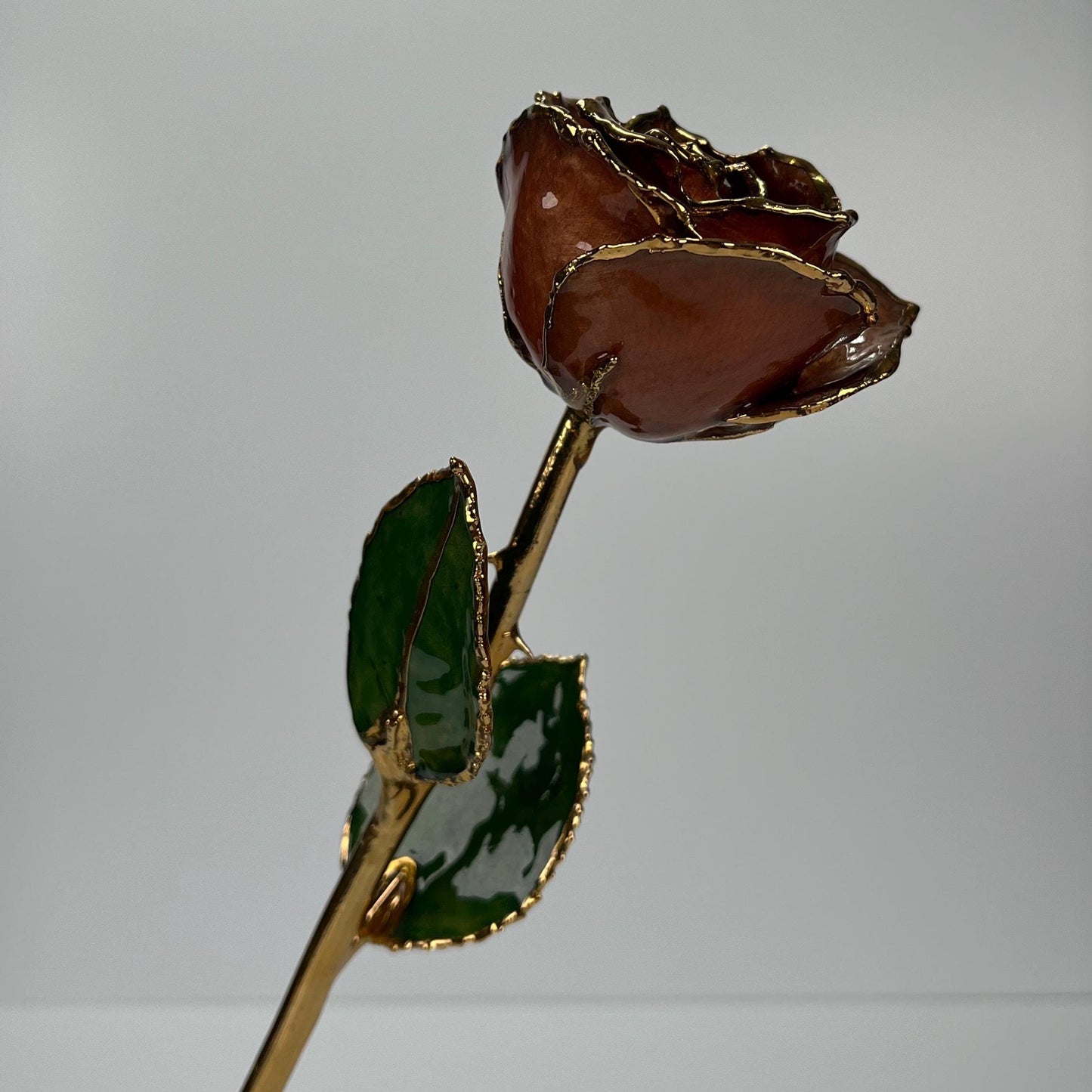 Vintage Collectible Rose Dipped in  24k Gold in Dark Magenta Pink