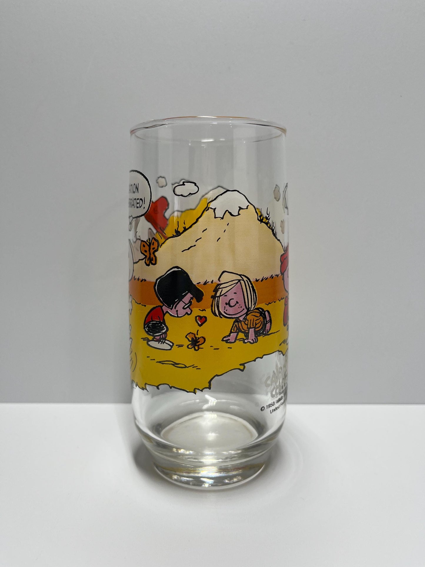 Vintage Glass of Charlie Brown, Linus & Sally of Peanuts Camp Snoopy for McDonald's