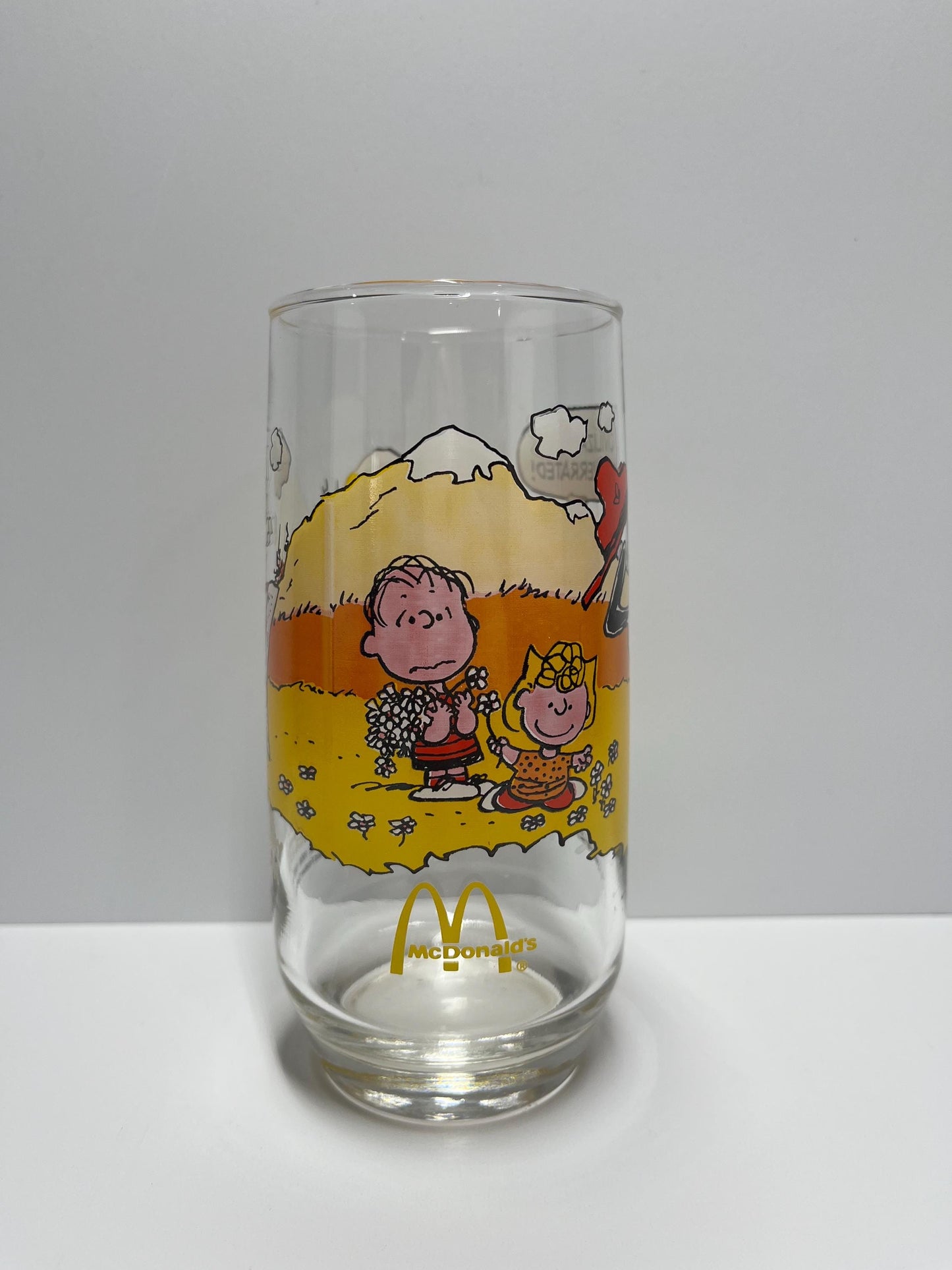 Vintage Glass of Charlie Brown, Linus & Sally of Peanuts Camp Snoopy for McDonald's