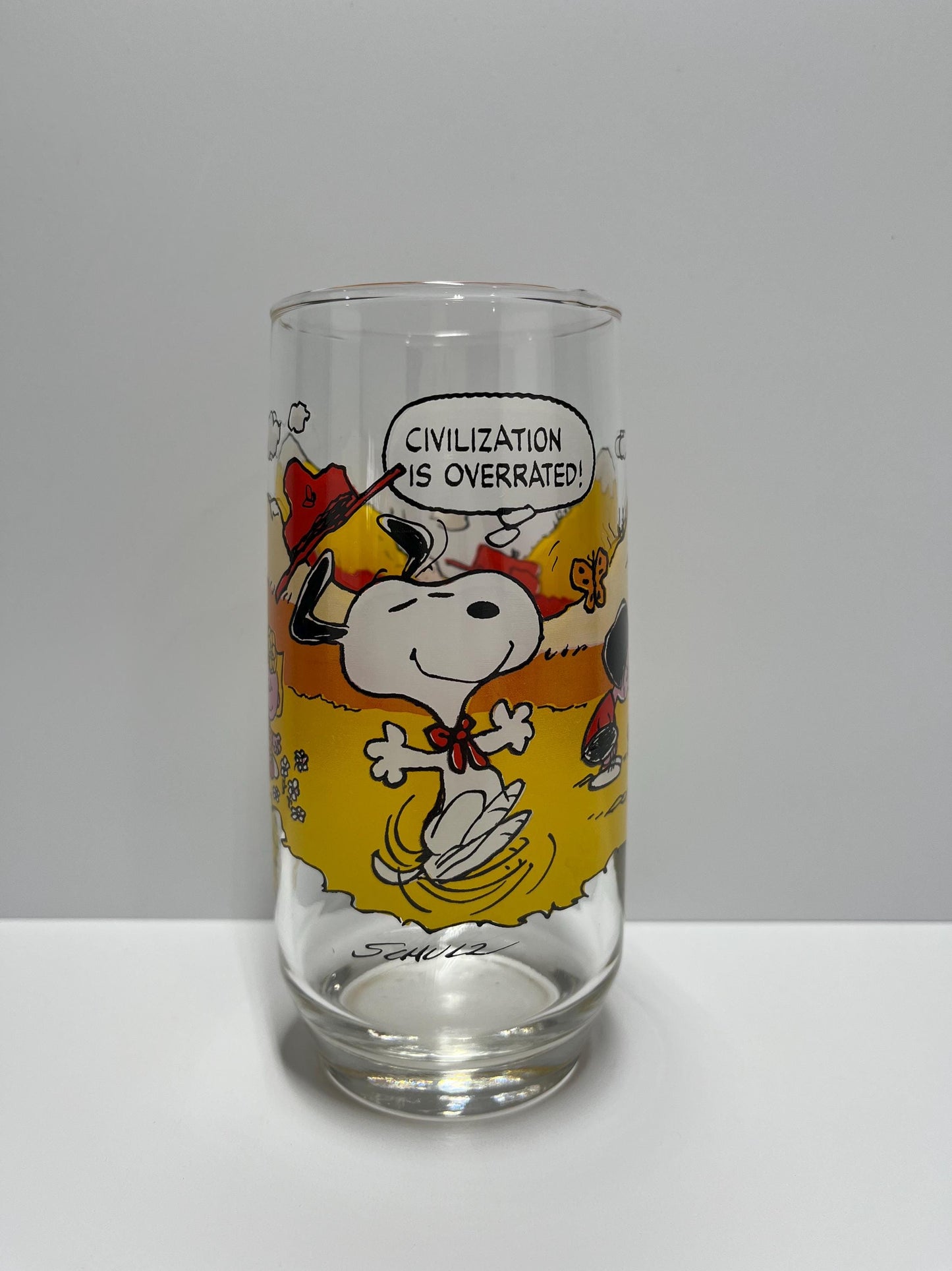 Vintage Glass of Charlie Brown, Linus & Sally of Peanuts Camp Snoopy for McDonald's